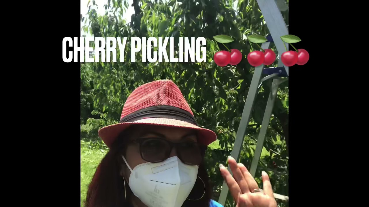 Cherry picking galore 🍒 