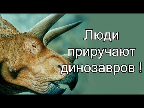 Видео: Люди приручают динозавров ! ( Caveman Craig )