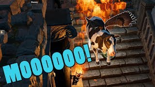 Witchcraft & Black Cats - Divinity: Original Sin 2