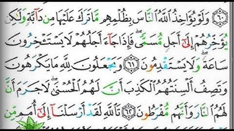 مصحف التجويد صفحة 273 إبراهيم الأخضر 🕋🕋