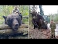 Пойман Самый ОГРОМНЫЙ Медведь в Мире! Аномально Большие Животные
