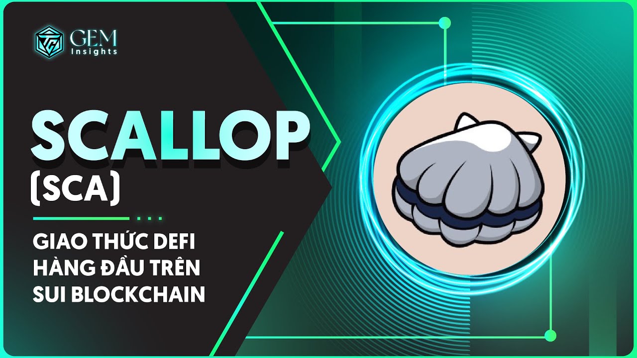 Scallop (SCA) là gì? Giao thức DeFi hàng đầu trên Sui Blockchain - YouTube