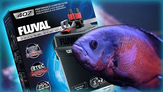 Fluval 407 Canister Filter Setup & Review