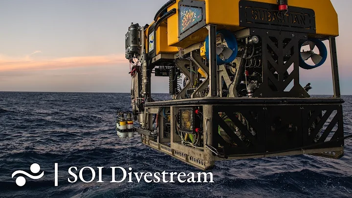 Basin 2 West of Yelcho Channel | SOI Divestream 719