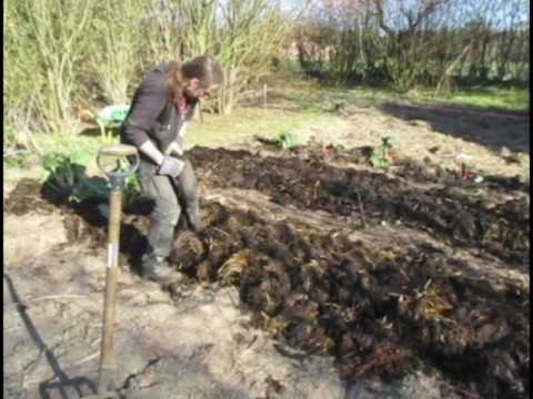 Setting Up A New Garden Using Horse Manure Youtube