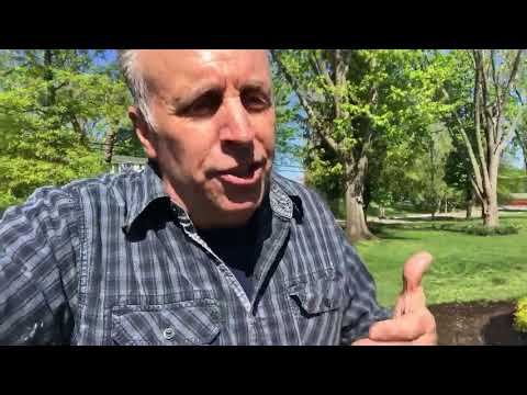 F**k this House with Andy Mann: Fencing | VicDibitetto.net