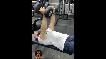 Supino Reto Neutro com Halteres - RAÇA ESPARTANA