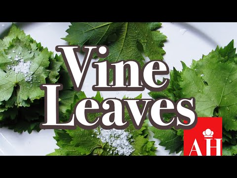 How to Preserve Vine Leaves #EP1