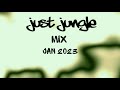 Just jungle   mix jan 2023