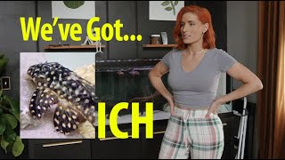 Download Lagu We've got ICH !!!!! :( MP3