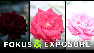 MENGENAL FOKUS & EXPOSURE KAMERA [KELAS FOTOGRAFI 1]