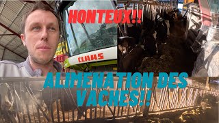 Manifestation: HONTEUX !!!!! On Donne a Manger aux Vaches Ensemble!
