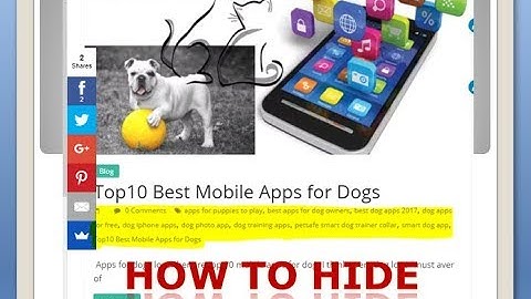 how to hide tags, author name  and meta tags in  wordpress (blogger)