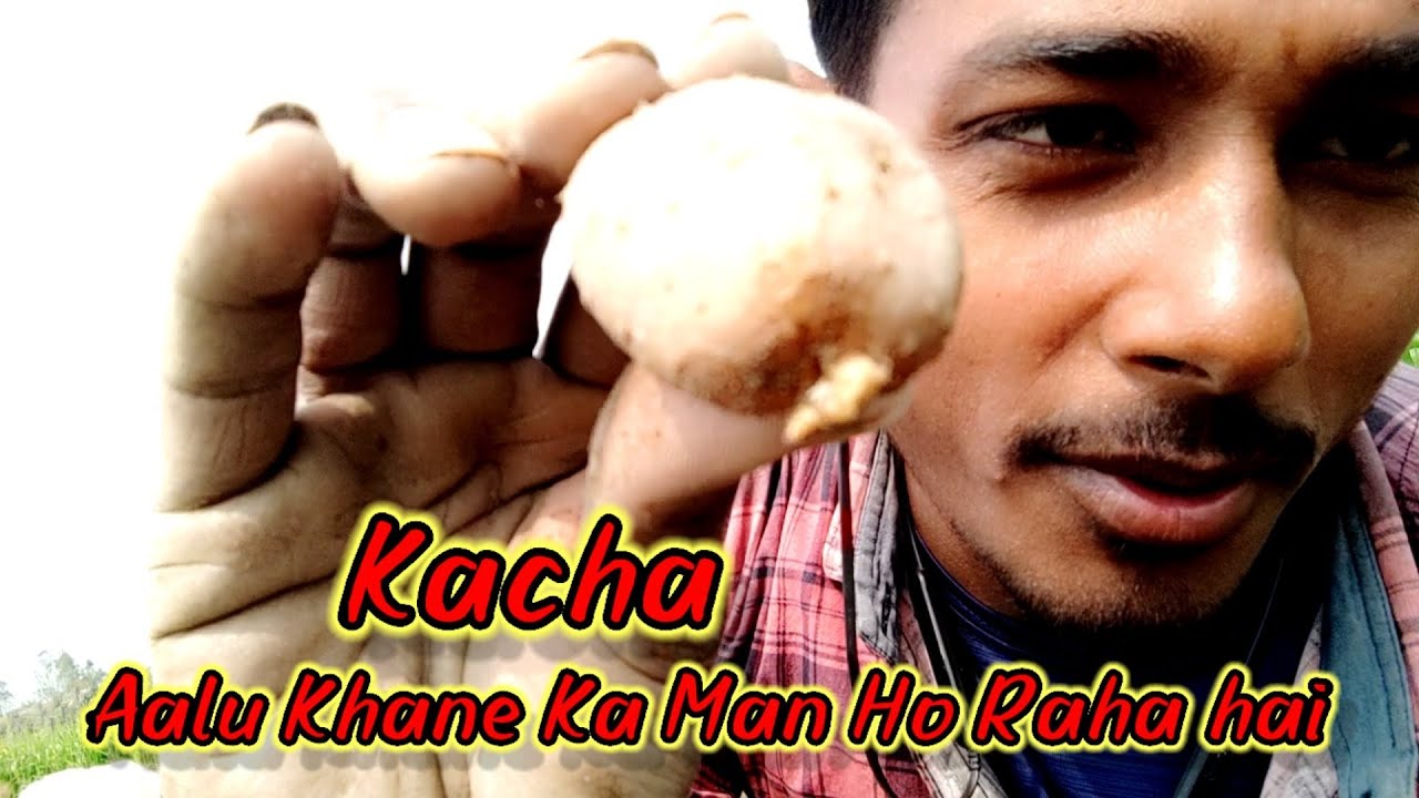 Kacha Aalu Khana Hai Na G !! Jaise Kacha Baadam Khaye The😜. youtube 