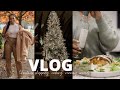 Come with me Christmas shopping, Easy Crispy Salmon, grocery shopping | Vlogmas 2021