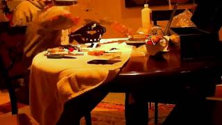 Trex 470LP time lapse build