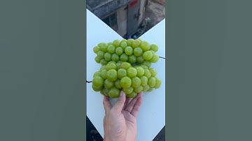 Experiment: Will grapes and watermelons explode when they roll down a tall building? 🍉🍇💥#shorts