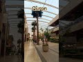 QURAN VERSES 🤍🤲🕋 URDU TRANSLATION RECITATION MASHALLAH #ytshorts #wazifa #love #islamicprayer