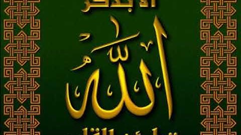 سوره (الشعراء)للقارئ محمد حسين عامر