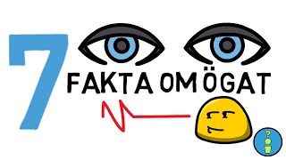 7 FAKTA OM ÖGAT