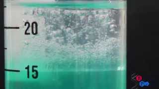 DIY DNA Extraction