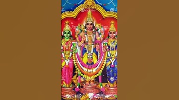திருப்பரங்குன்றம் தெய்வானை நாயகனுக்கு#murugan #murugansong #palani #thiruchendur #kovil #arul #cash