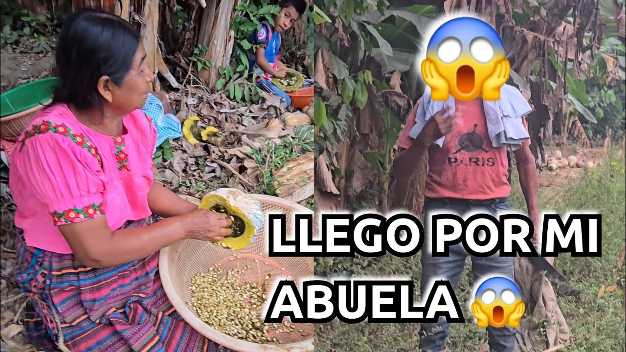 LES MOSTRAMOS EL TRABAJO DE MI ABUELA, Y LA LLEGARON A BUSCAR CON MACH3TE😱😡😡