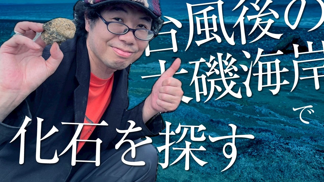 Fossil Enthusiast Fossil-Fumi! Hunting for Shell Fossils at Oiso