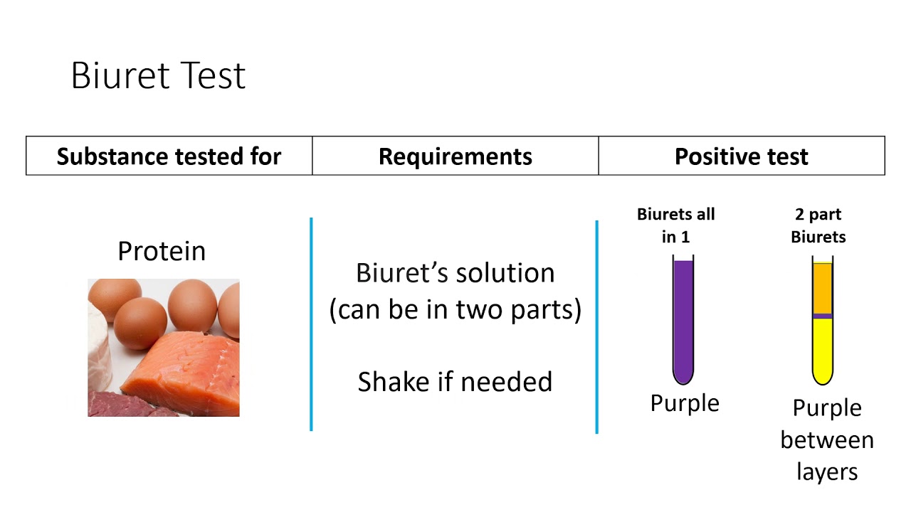 GCSE Biology Food Tests YouTube GCSE Biology Food Tests YouTube