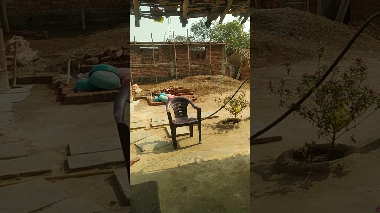 dog video 2025/2026 best dog video ai dog video