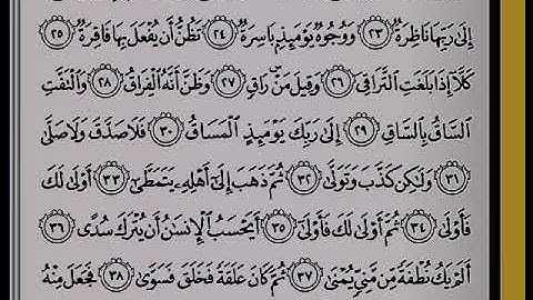 سورة القيامه بصوت القارئ مروان محمد قرآن كريم ارح سمعك