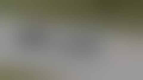 Oct 2020 Patrol car crash Georgia Public Safety Training Center