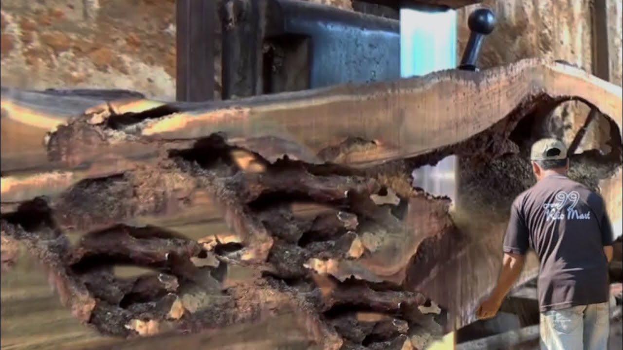 57 Seconds Before Disaster || This Broken Log Nearly Destroy The ...