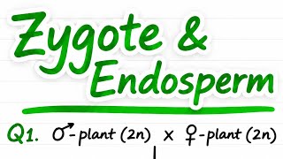 Endosperm & Zygote Ploidy Trick 🔥🔥#neet #zygote#endosperm #medifypulse #class12