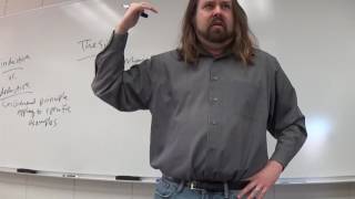 Composition II TR   Thesis Statements