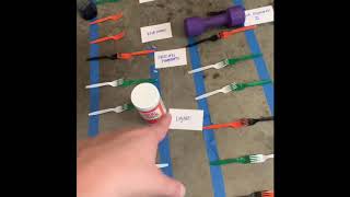 DNA replication fork-Ashley Weir
