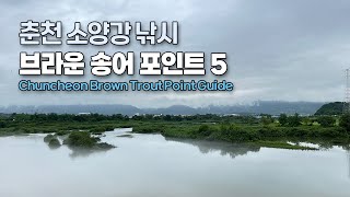 [Flyflanet 268]춘천 소양강 낚시 브라운 송어 포인트5 Chuncheon Soyang River Fishing Brown Trout Point 5