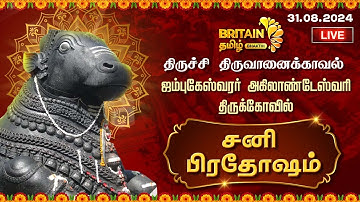 LIVE-திருவானைக்கோயில்-ஜம்புகேஸ்வரர் திருக்கோவில் சனி பிரதோஷம் வழிபாடு| Thiruvanaikoil Sani Pradosham