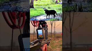 Digital Bow Sight vs. Wild Hog | When Hunting Tech Meets Nature 🏹🐗#fyp #shorts