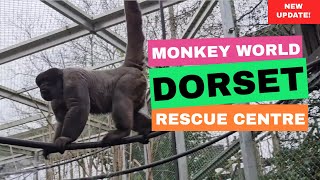 Monkey World 2024  Ape Rescue  Centre Wool Dorset