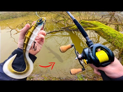 Découverte d’un étang perdu en forêt , on ne s’attendait vraiment pas à ça !! - Pêche au leurre -