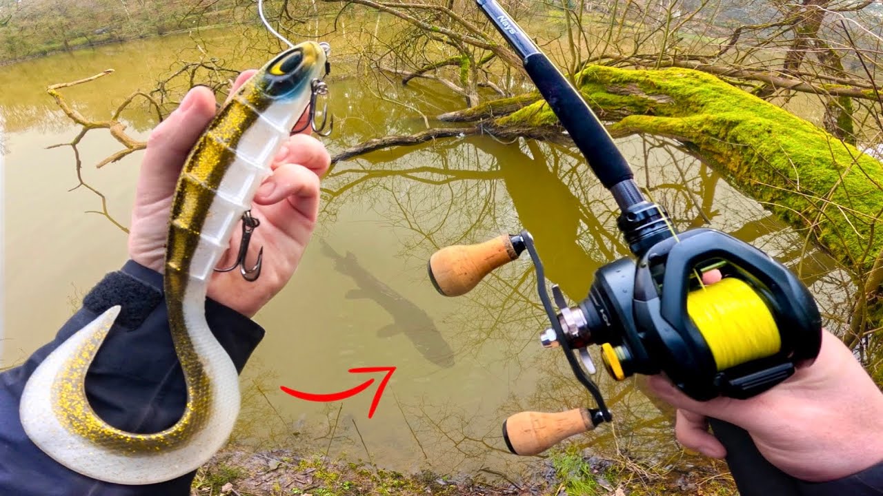 Découverte d’un étang perdu en forêt , on ne s’attendait vraiment pas à ça !! - Pêche au leurre -