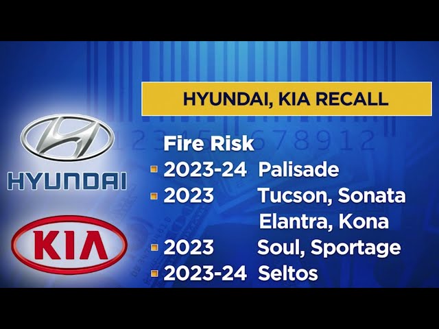 Some Kia, Hyundai SUVs should be parked outdoors over fire risk -U.S.  regulator