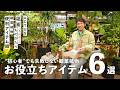 【植物バイヤーおすすめ】観葉植物を育てやすくするための便利アイテム6選!