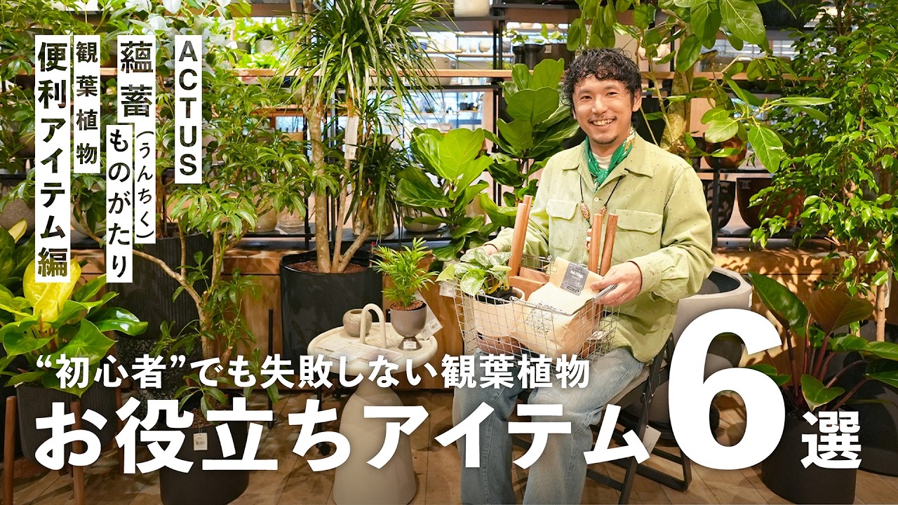 【お譲り先決定】美品 ACTUS 植木鉢 Recommended by a plant buyer] 6 handy items to make growing