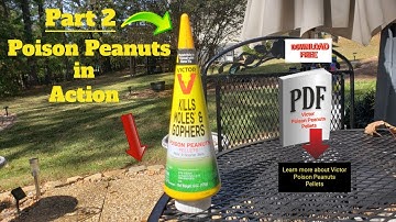 Mole & Gopher Problems Solved! Part 2