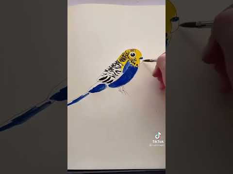 Рисуем волнистого попугая!