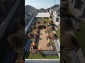 swimming pool #swimming #swimmingpool #trending #ytshorts