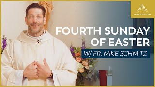 Fourth Sunday of Easter - Mass with Fr. Mike Schmitz by Sundays with Ascension 46,551 views 1 month ago 46 minutes