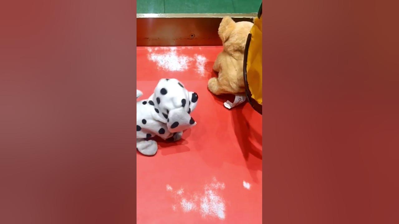 dog-catcher-toy-dogs-animals-toys-toyreviews-shotsvideo-kidsvideo